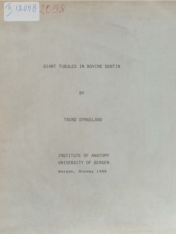 Giant tubules in bovine dentin