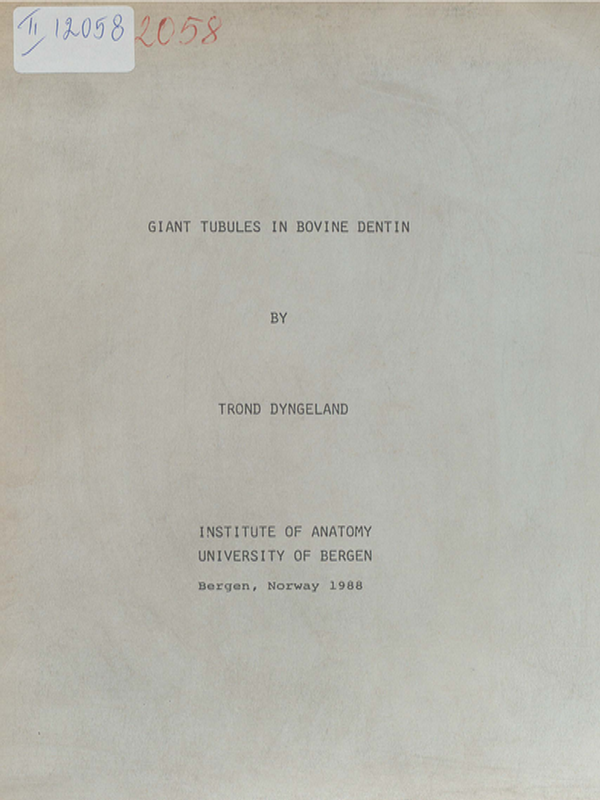 Giant tubules in bovine dentin