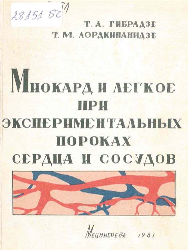 Миокард и легкое при экспериментальных пороках сердца и сосудов
