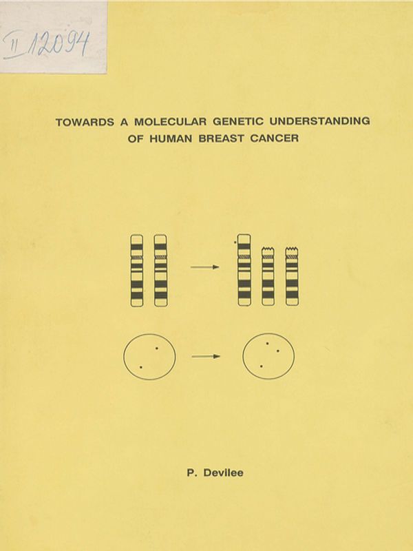 Towards a molecular genetic understanding of human breast cancer
