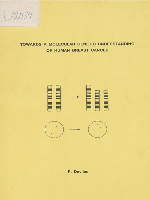 Towards a molecular genetic understanding of human breast cancer