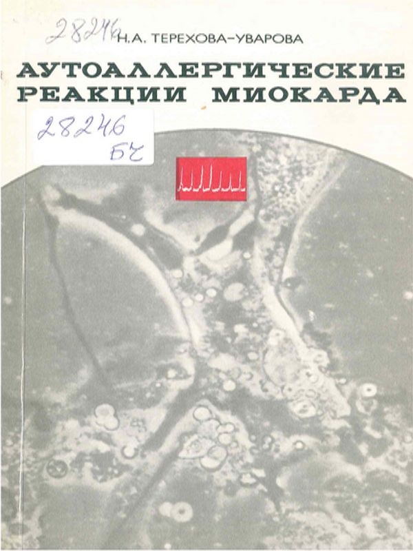 Аутоаллергические реакции миокарда в эксперименте и клинике
