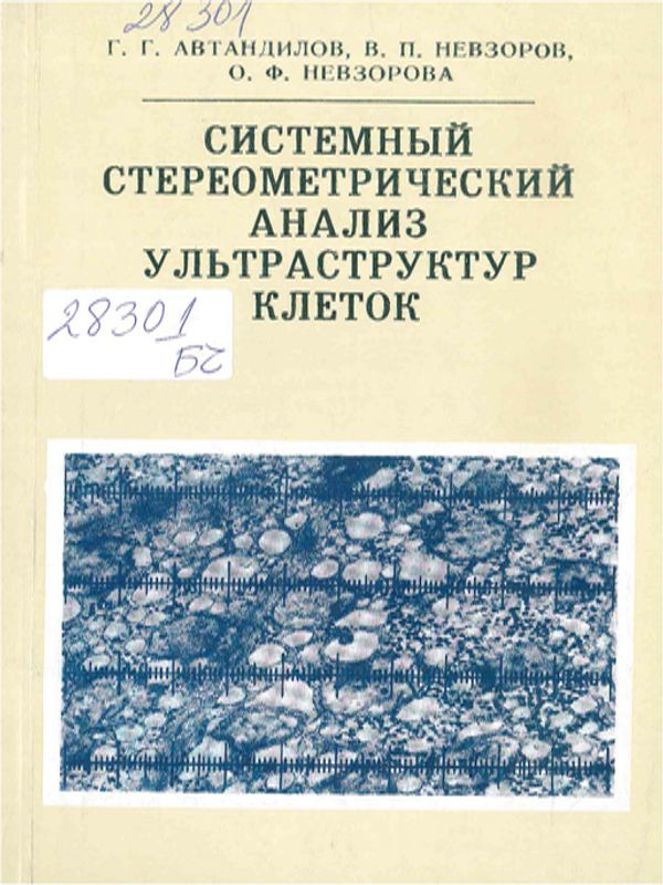 Системный стереометрический анализ ультраструктур клеток