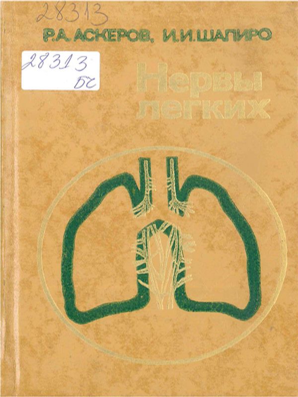 Нервы легких