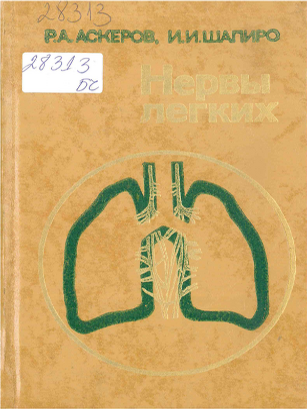 Нервы легких