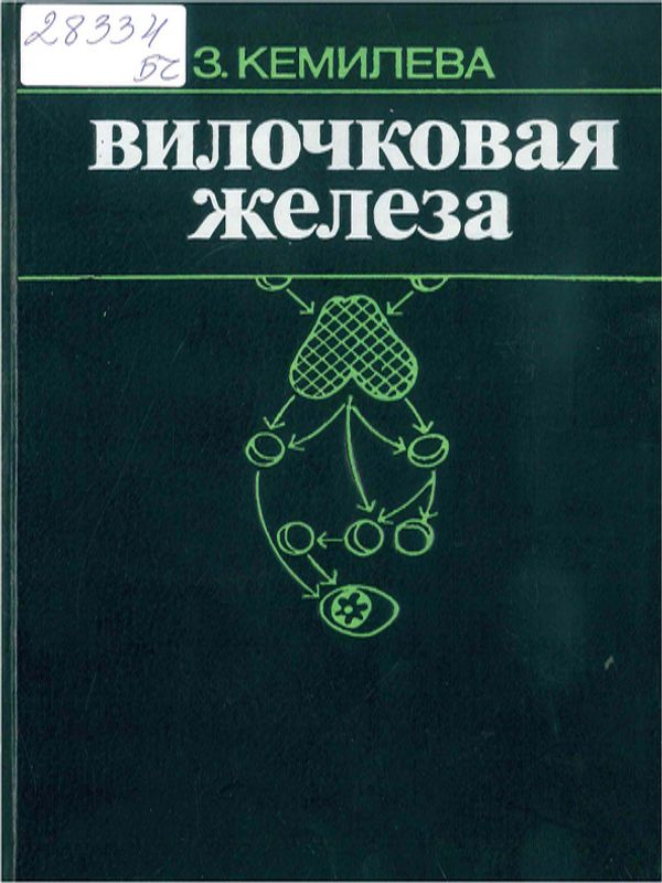 Вилочковая железа