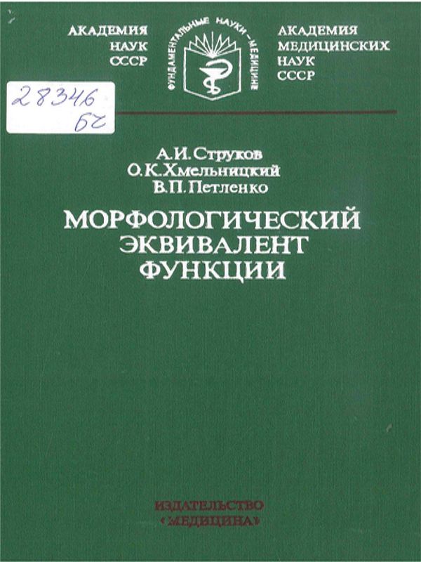 Морфологический эквивалент функции