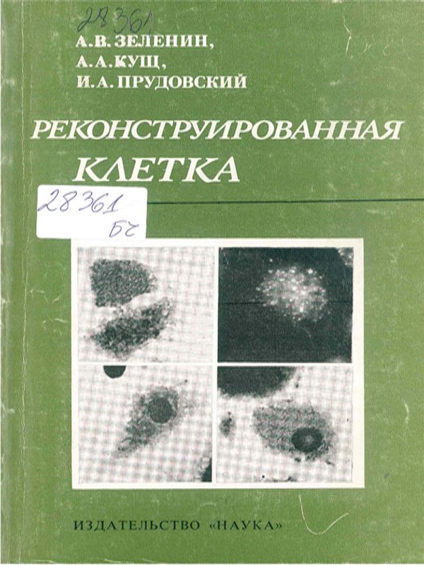 Реконструированная клетка