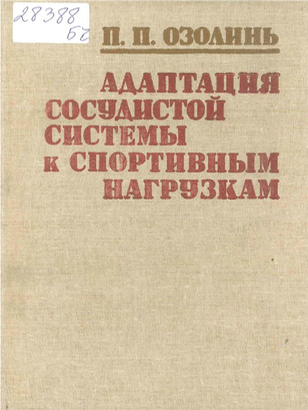 Адаптация сосудистой системы к спортивным нагрузкам