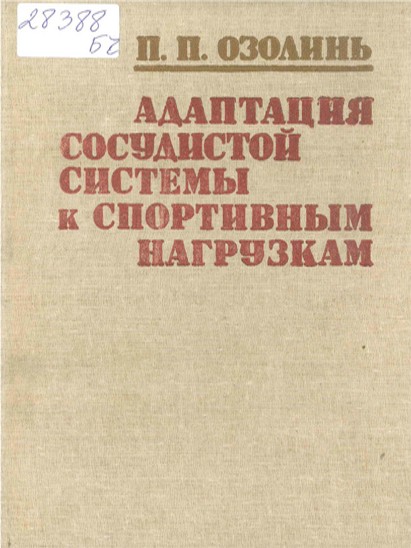 Адаптация сосудистой системы к спортивным нагрузкам