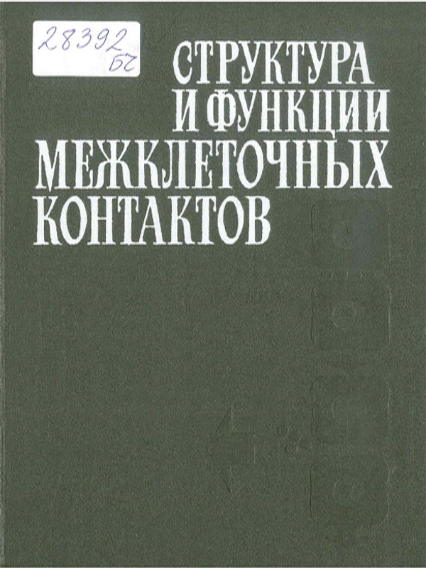 Структура и функции межклеточных контактов