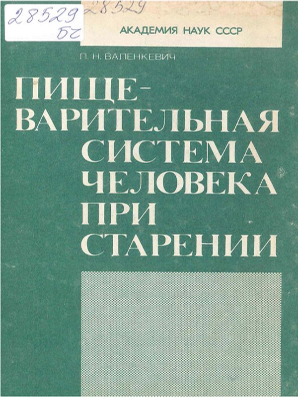 Пищеварительная система человека при старении