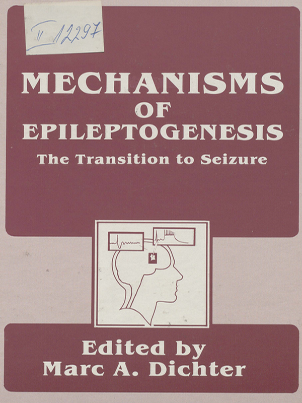 Mechanisms of epileptogenesis