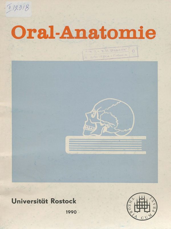 Oral-Anatomie