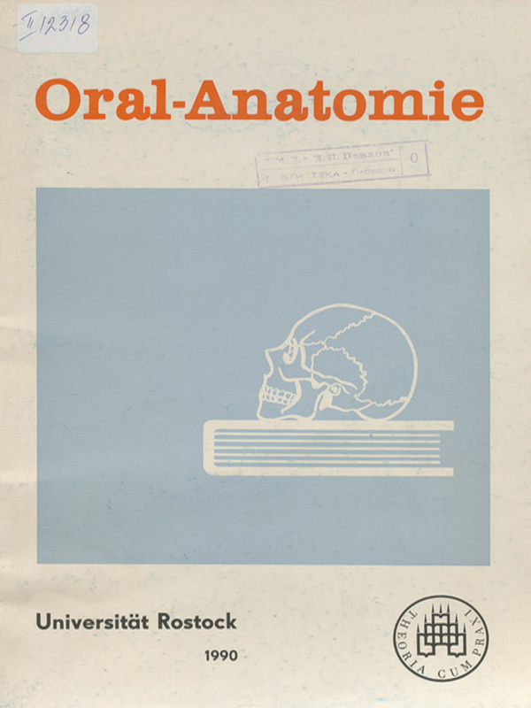 Oral-Anatomie
