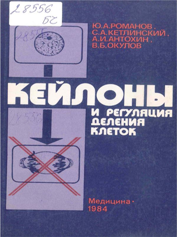 Кейлоны и регуляция деления клеток