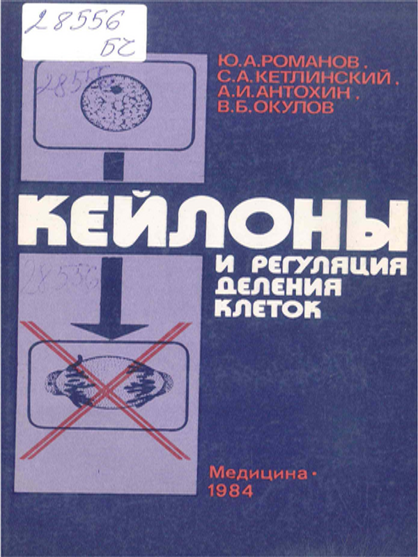 Кейлоны и регуляция деления клеток