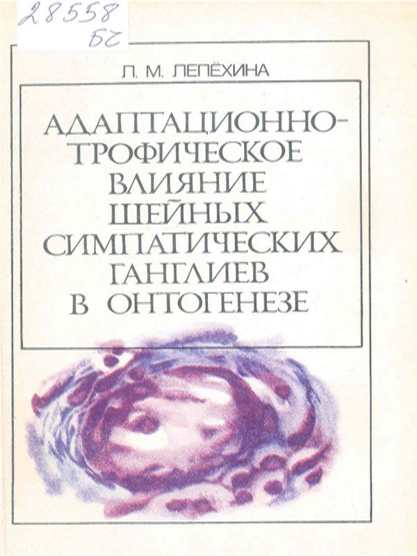 Адаптационно-трофическое влияние шейных симпатических ганглиев в онтогенезе