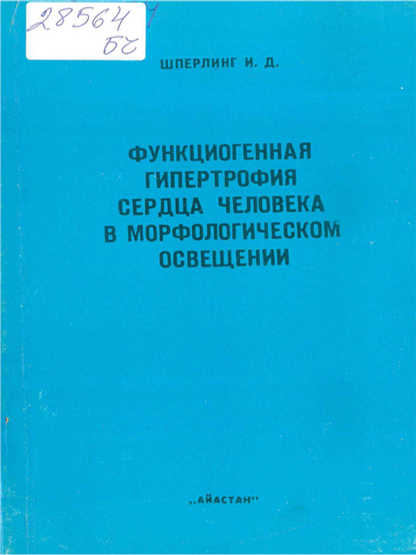 Функциогенная гипертрофия сердца человека в морфологическом освещении
