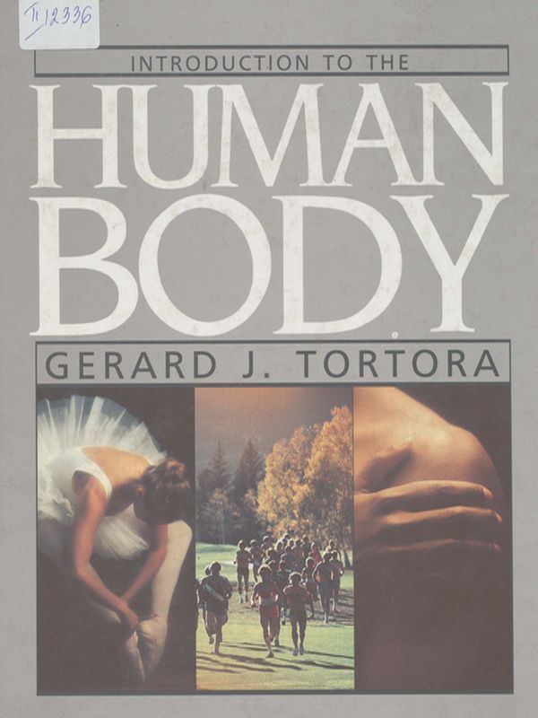 Introduction to the human body