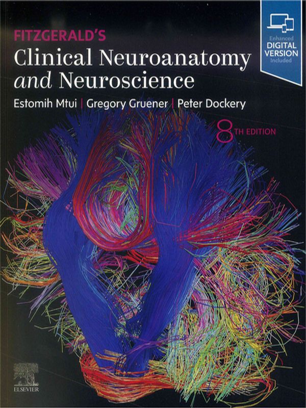 Fitzgerald`s clinical neuroanatomy and neuroscience