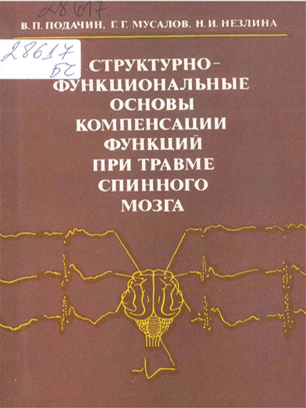 Структурно-функциональные основы компенсации функций при травме спинного мозга