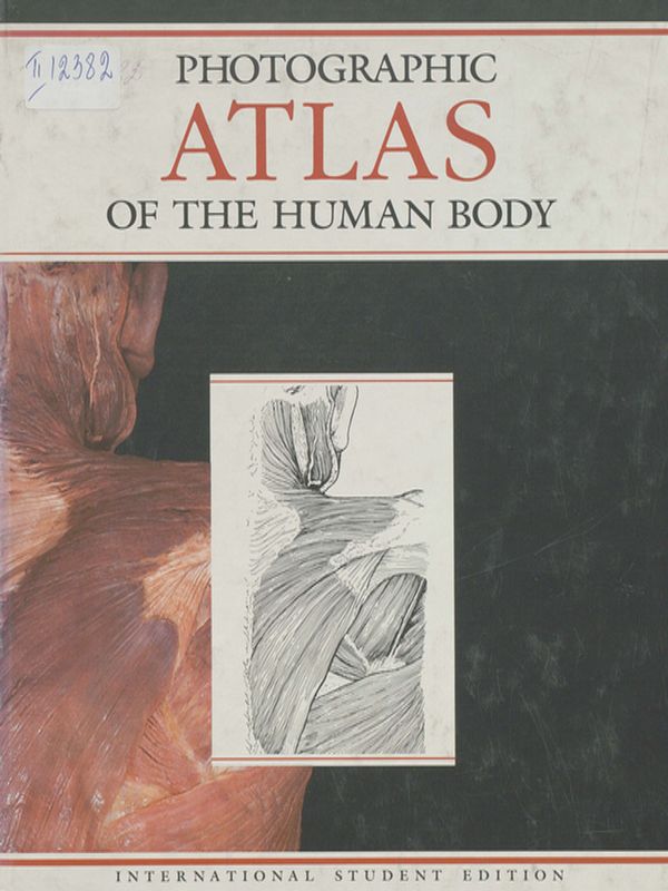 Photographic atlas of the human body