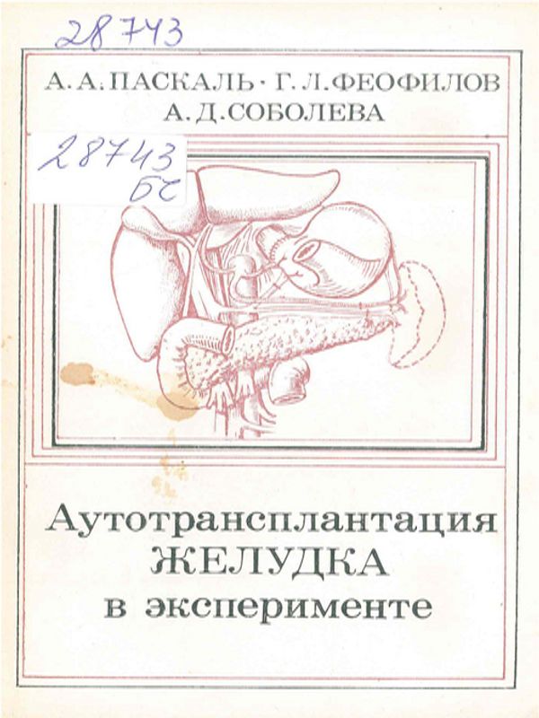 Аутотрансплантация желудка в эксперименте