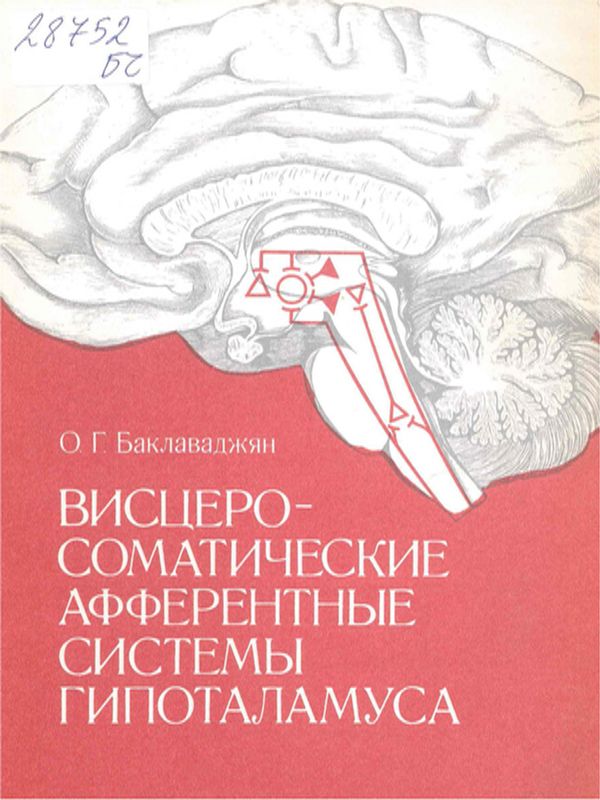 Висцеросоматические афферентные системы гипоталамуса