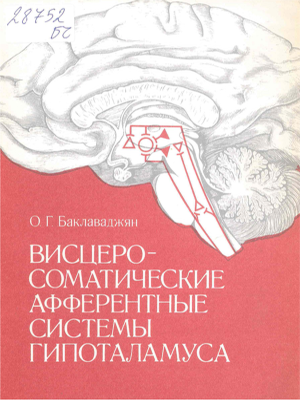 Висцеросоматические афферентные системы гипоталамуса