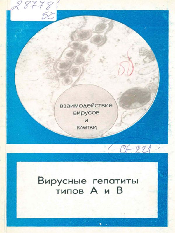 Вирусные гепатиты типов А и В