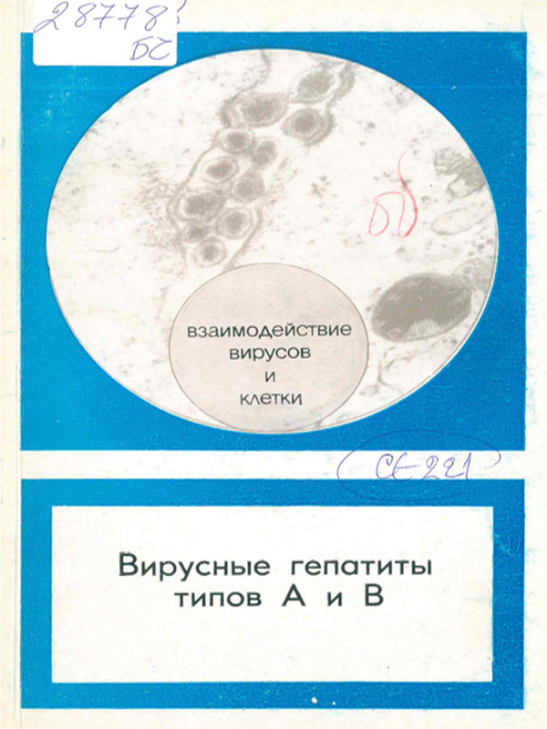 Вирусные гепатиты типов А и В