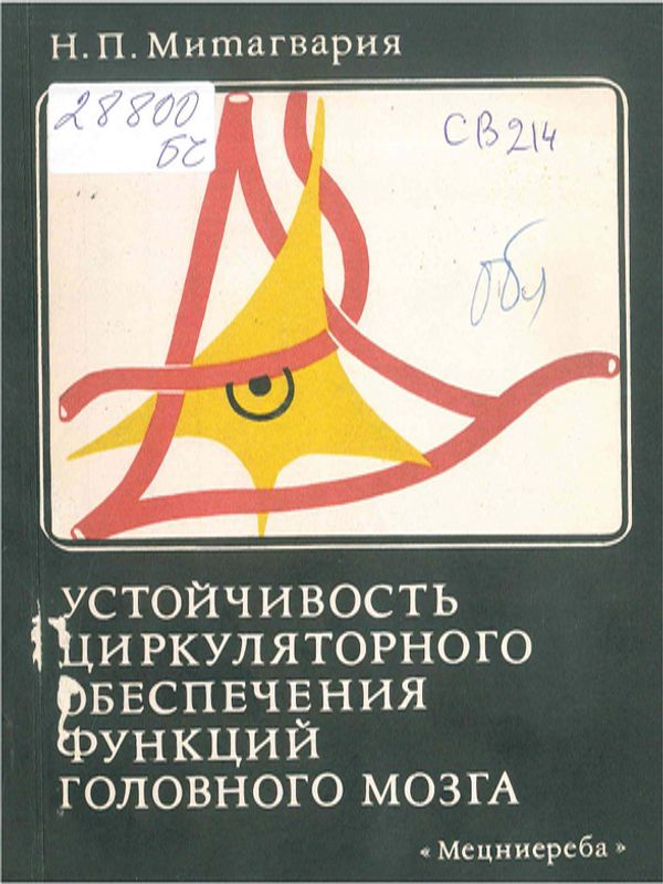 Устойчивость циркулярного обеспечения функций головного мозга