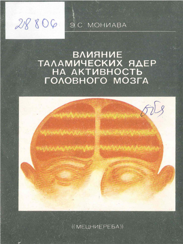Влияние таламических ядер на активность головного мозга