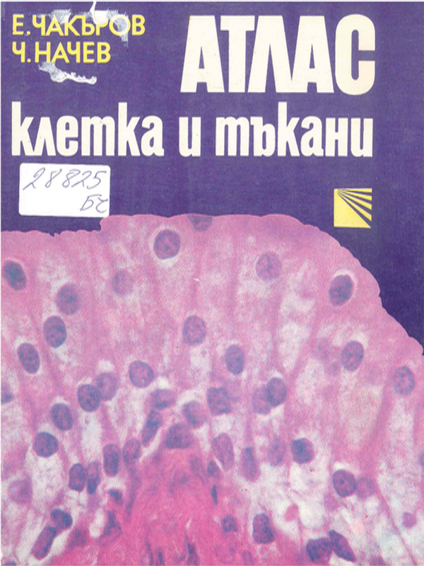 Атлас - клетка и тъкани