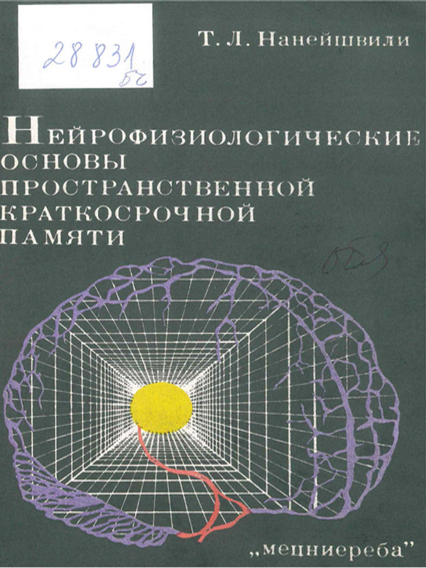 Нейрофизиологические основы пространственной краткосрочной памяти