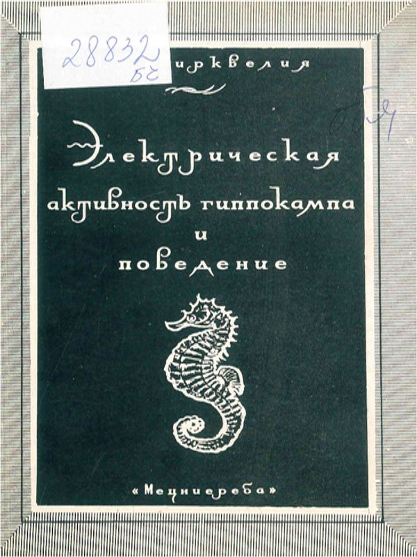 Электрическая активность гиппокампа и поведение