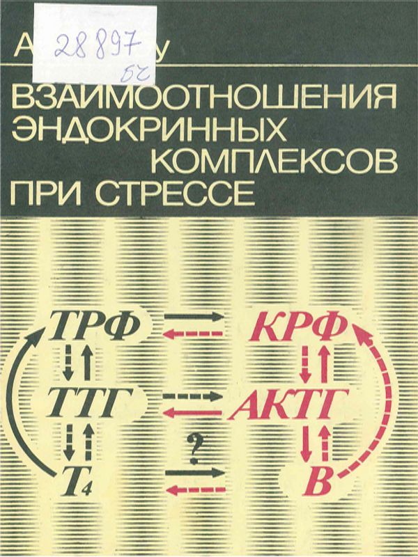 Взаимоотношения эндокринных комплексов при стрессе