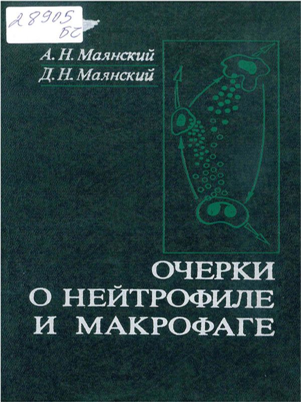 Очерки о нейтрофиле и макрофаге