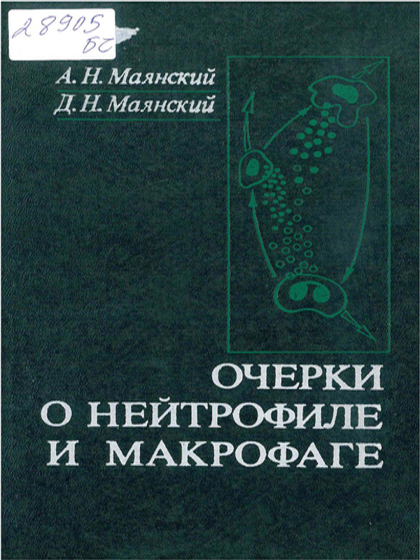 Очерки о нейтрофиле и макрофаге