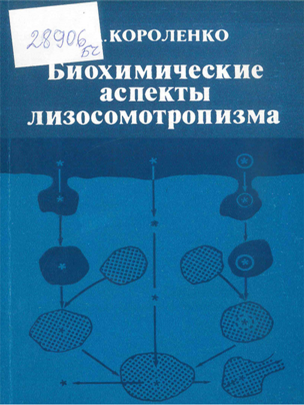 Биохимические аспекты лизосомотропизма