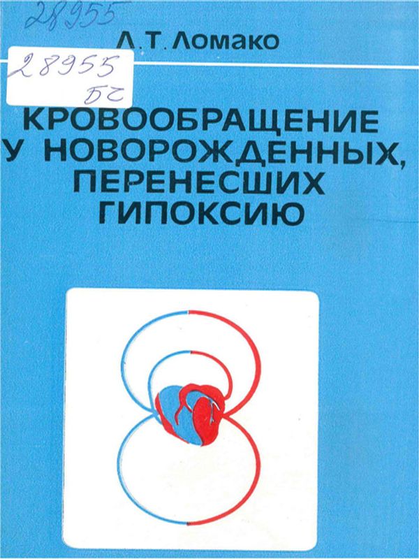 Кровообращение у новорожденных, перенесших гипоксию