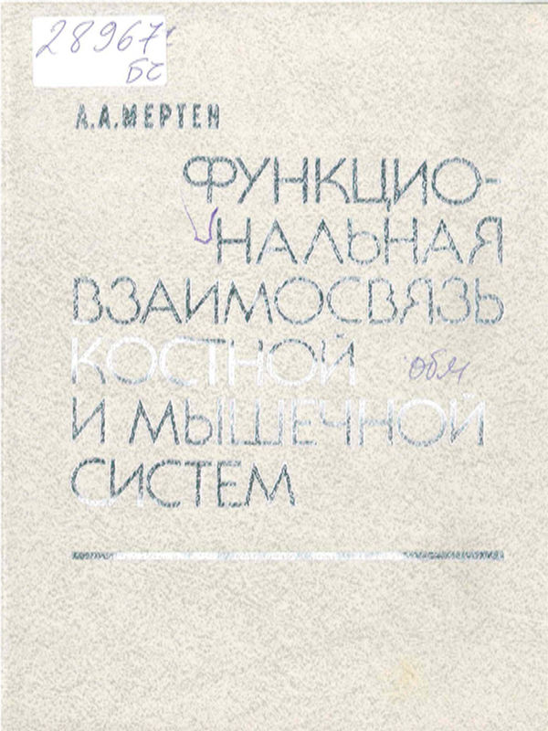 Функциональная взаимосвязь костной и мышечной систем