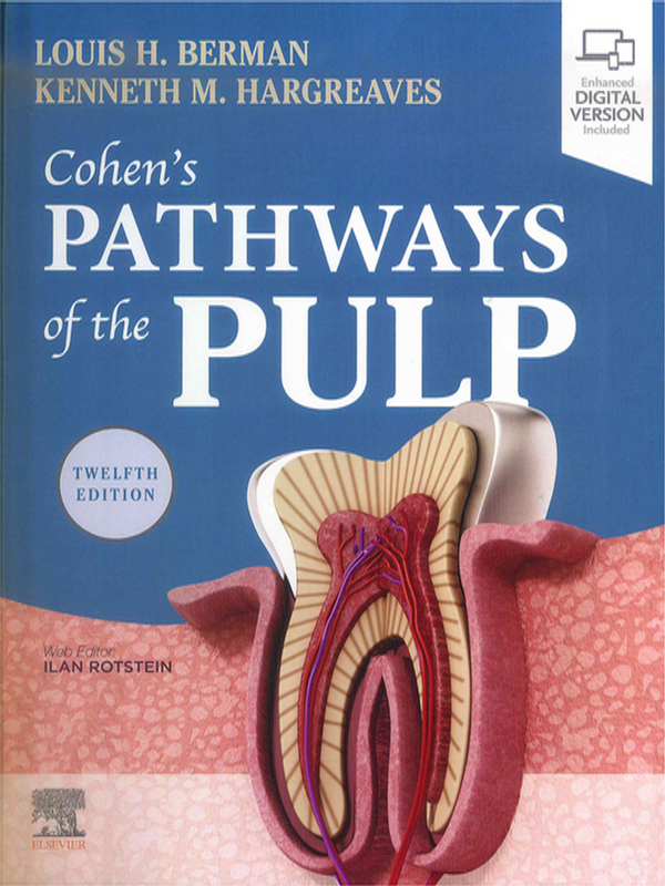Cohen`s pathways of the pulp