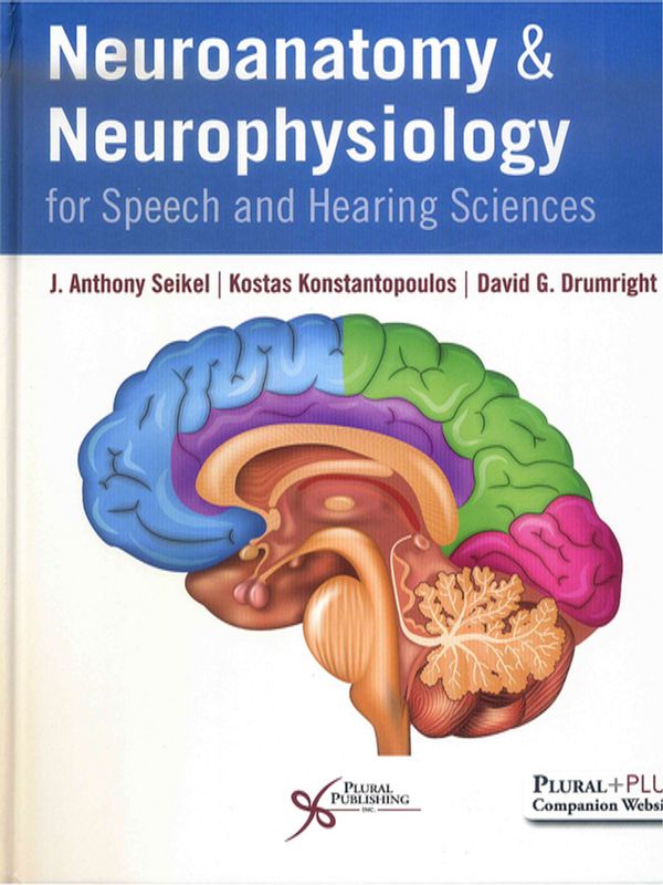 Neuroanatomy and neurophysiology