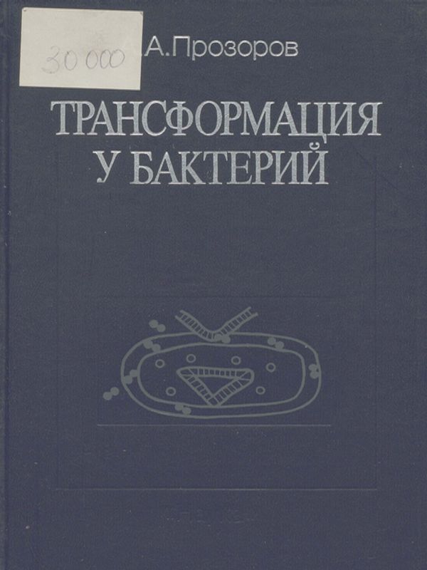 Трансформация у бактерий