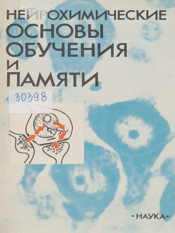 Нейрохимические основы обучения и памяти