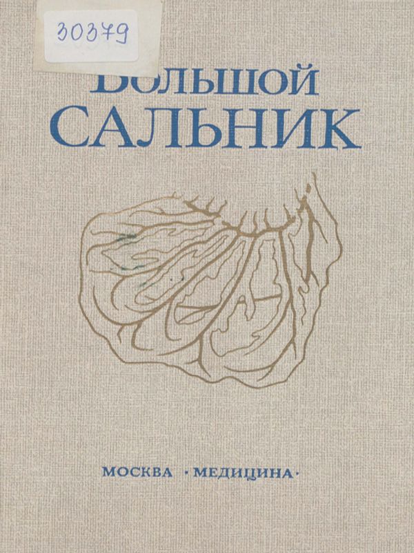 Большой сальник