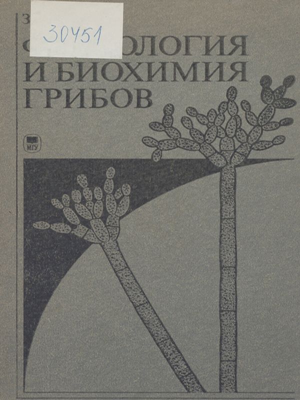 Физиология и биохимия грибов