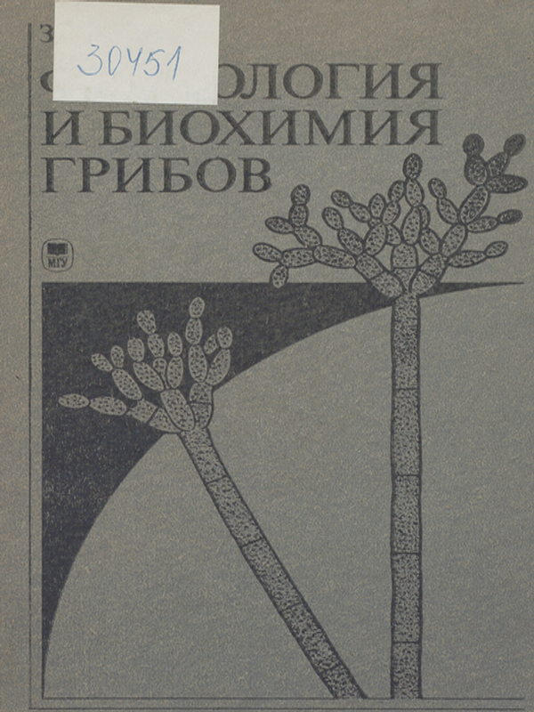 Физиология и биохимия грибов